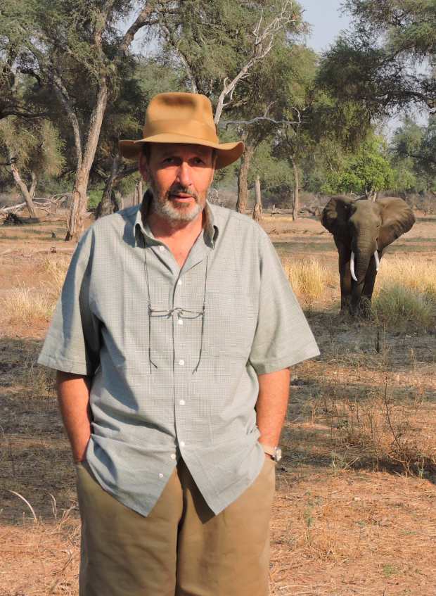 A more relaxed bushsnob, posing.