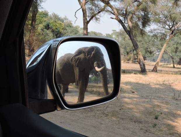 The view through the mirror was a warning.