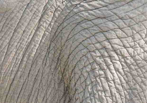 My view suddenly got blocked...