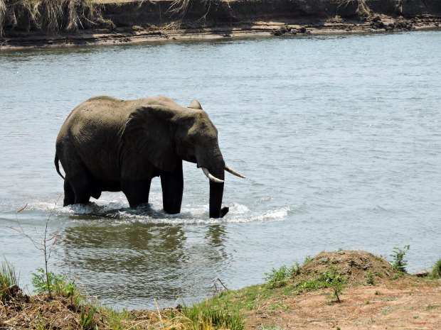 The jumbo returning.