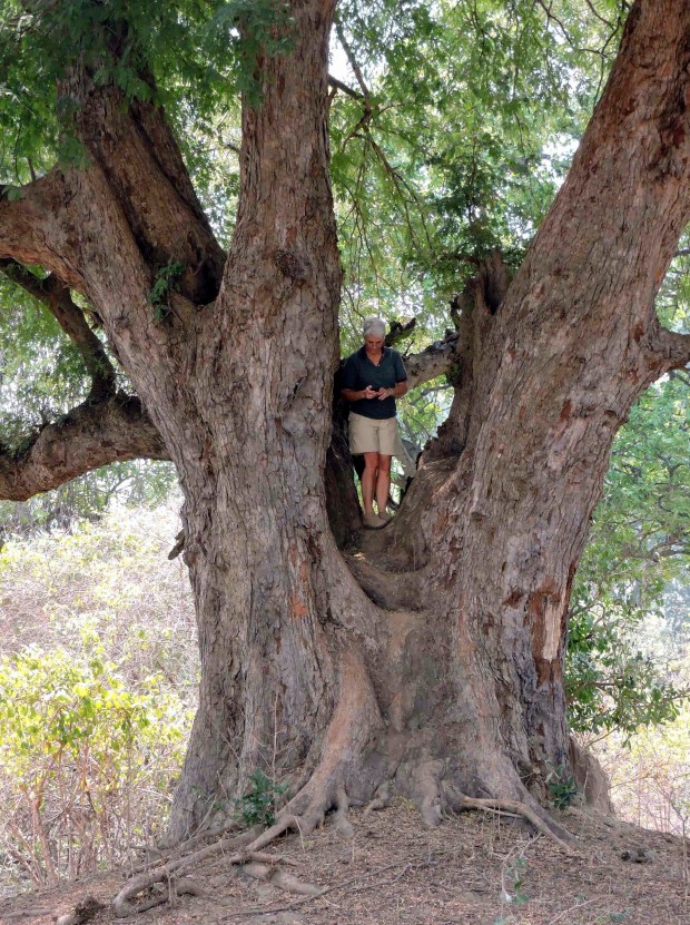 In search of that elusive cellphone signal!