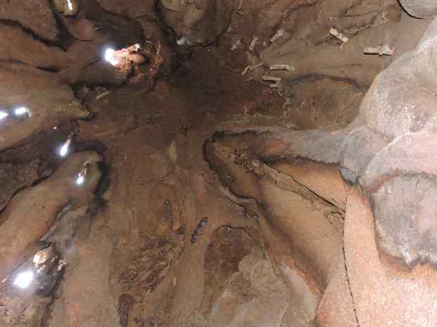 The inside of the tree. The spikes are seen on the right upper corner. The flying bat (centre bottom) and stationary bats (centre top), The small light spots are gaps on the top of the tree.