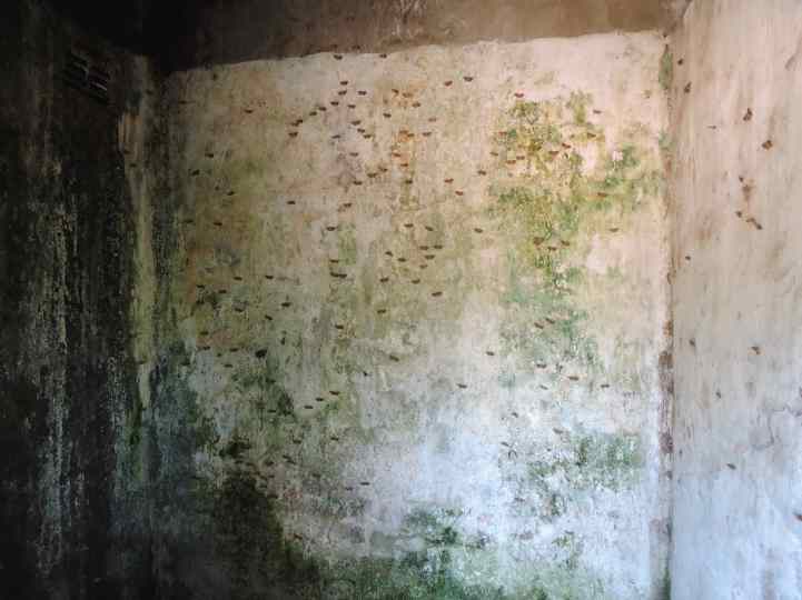 The view from the door.