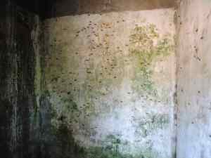 The view from the door.