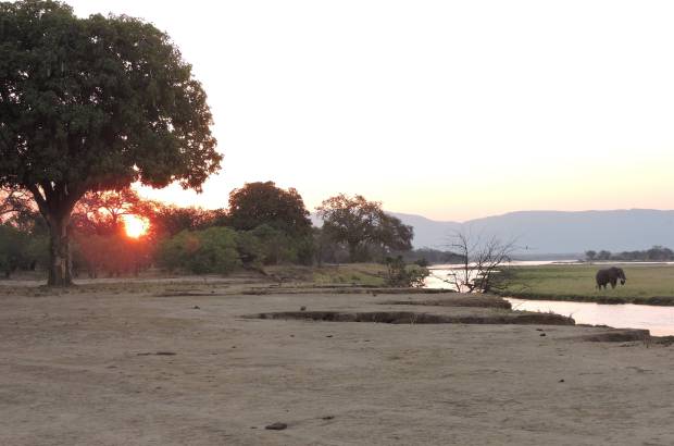 Zambezi dusk.