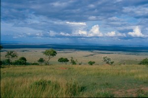 The view of the Mara triangle on the Maasai Mara from the Oloololo escarpment on the way to Intona ranch.