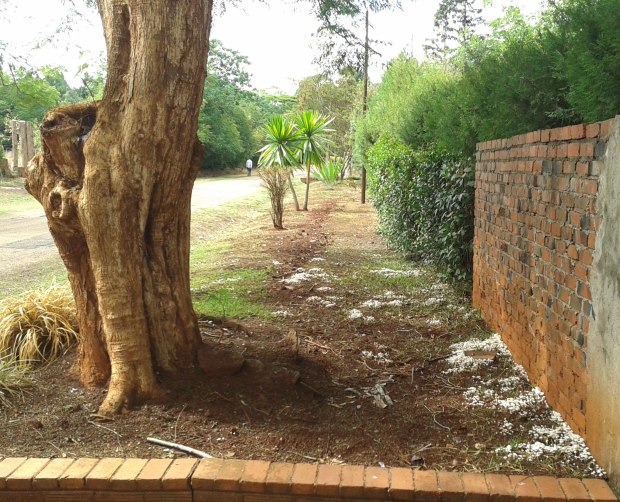 20151217_090702 copy