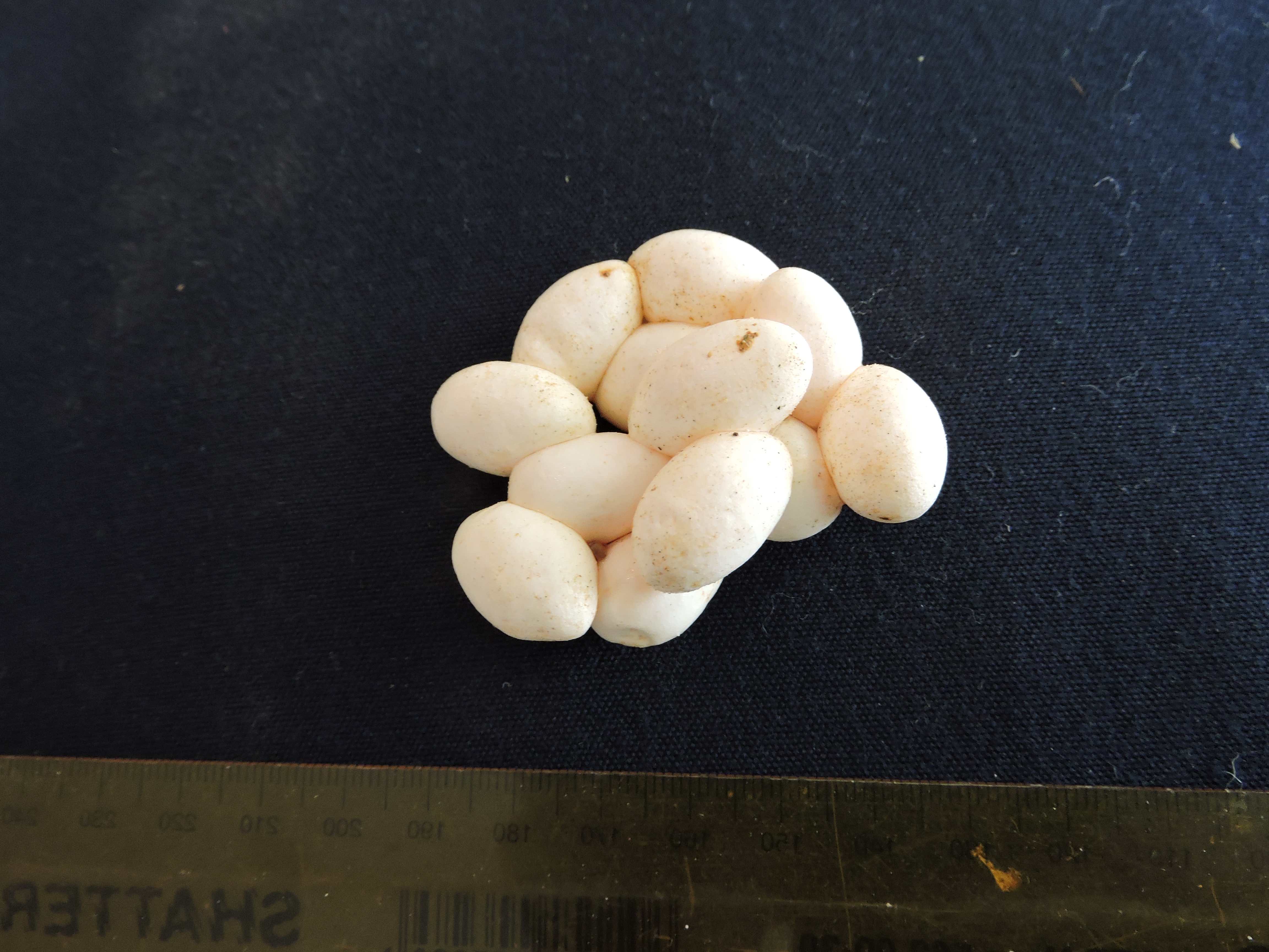 DSCN9892 9.49.56 AM copy