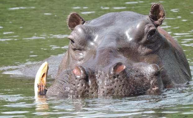 DSCN9972 9.11.44 PM copy