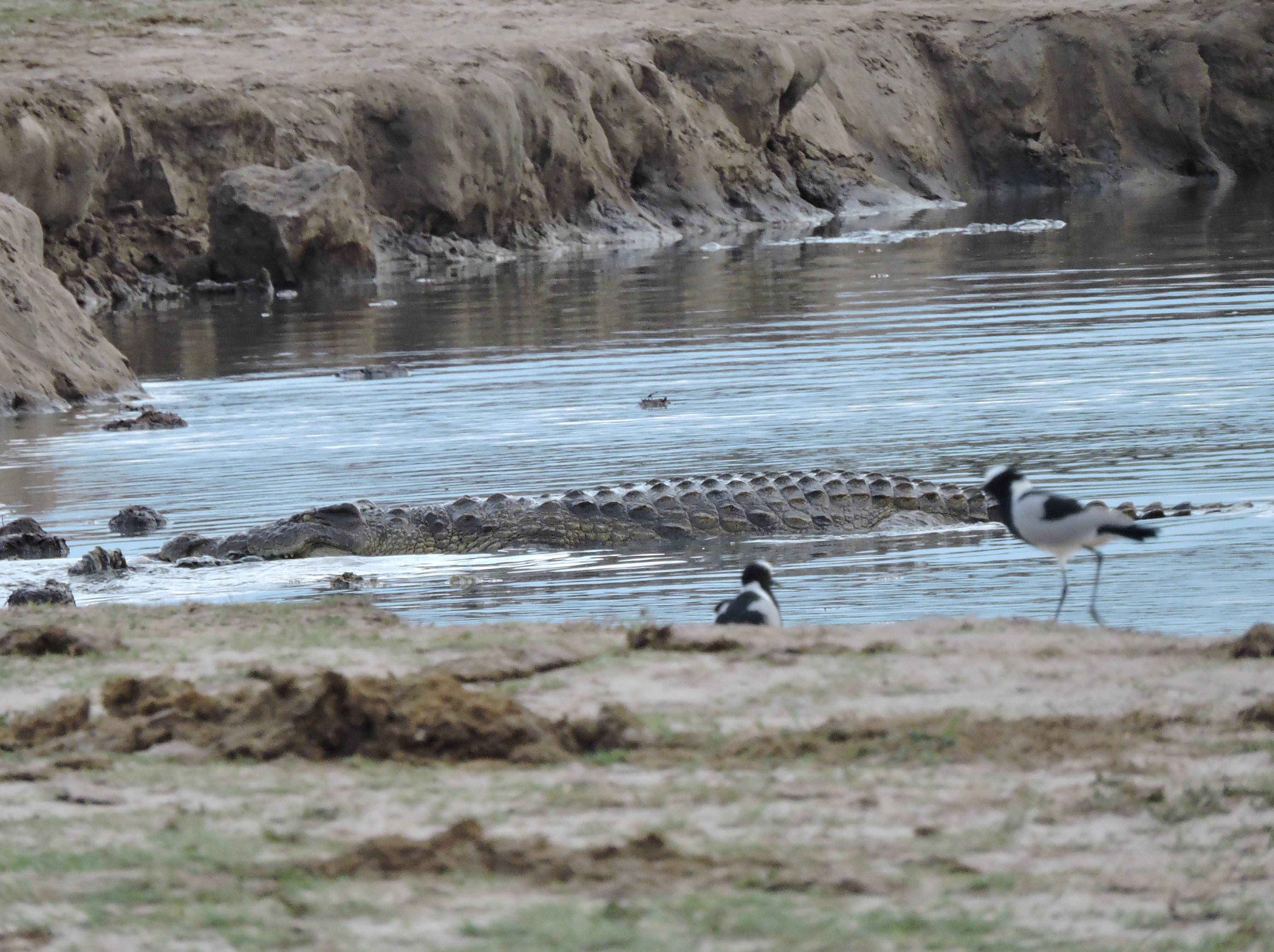 DSCN9895 9.14.41 PM copy