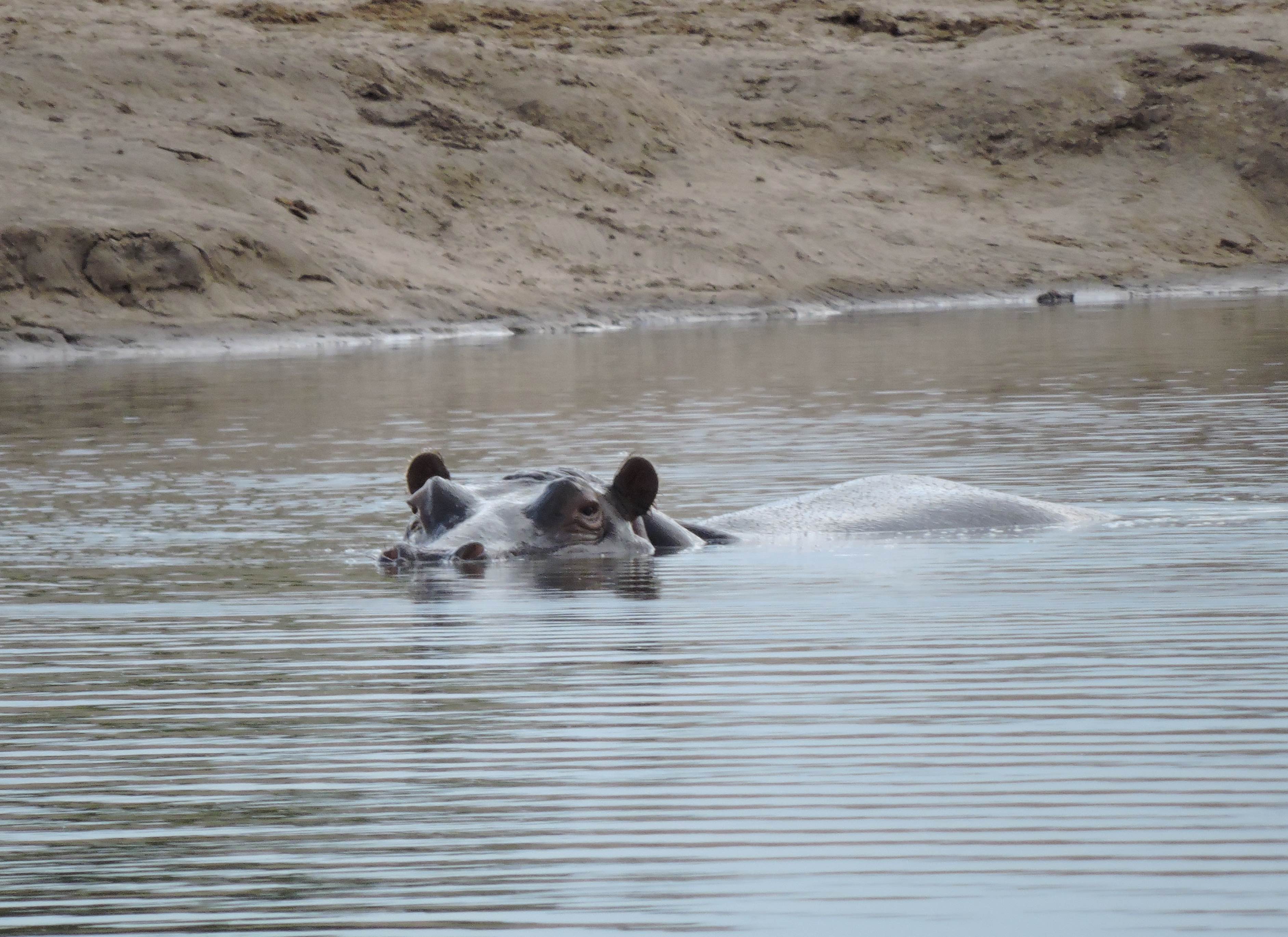 DSCN9898 9.14.41 PM copy