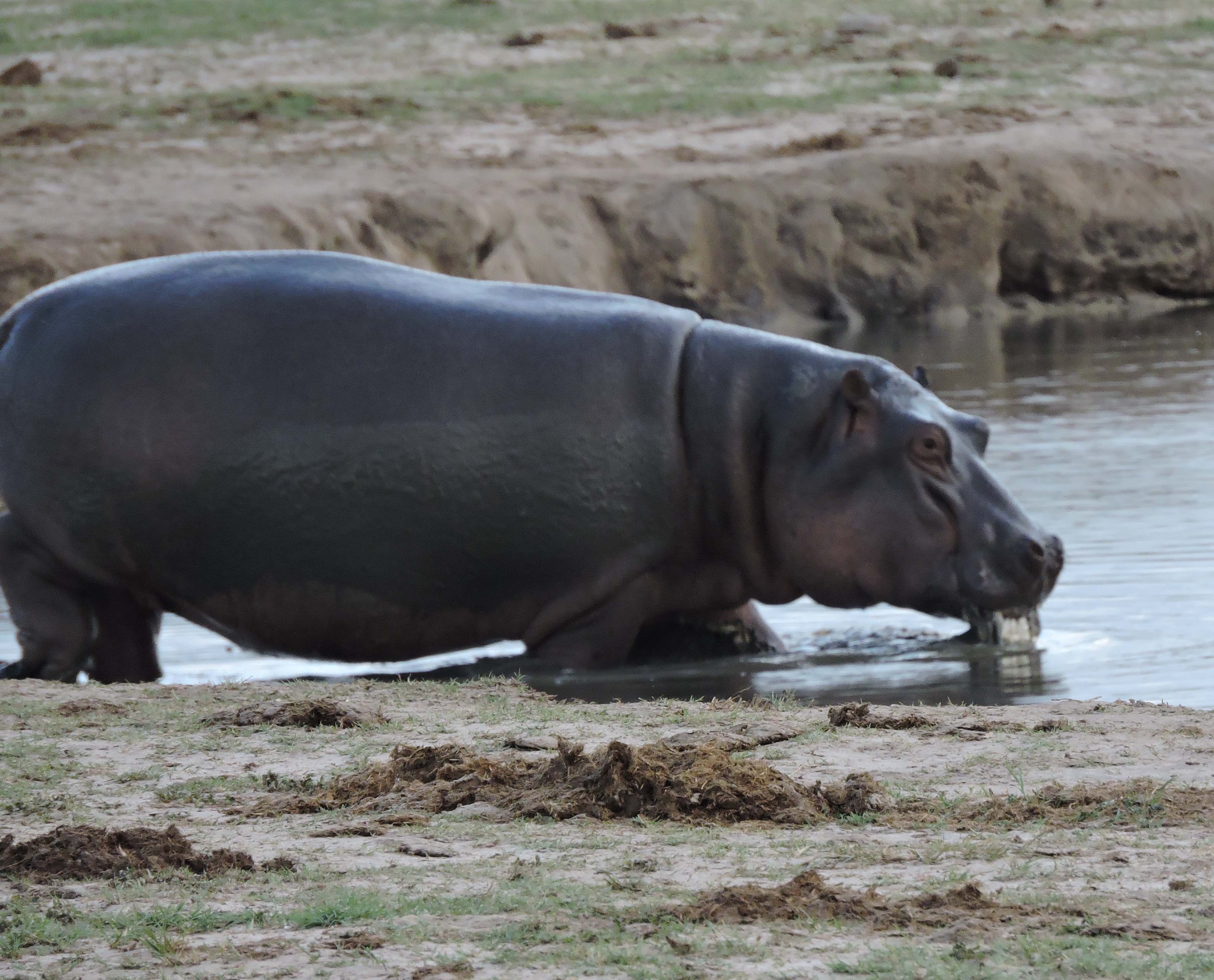 DSCN9901 9.14.41 PM copy