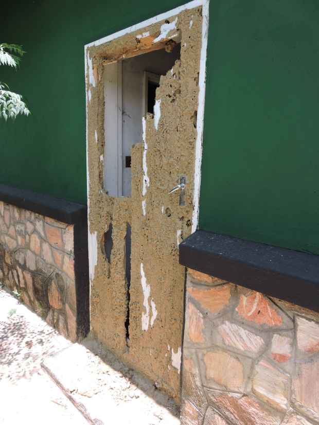 DSCN9977 9.07.07 PM copy