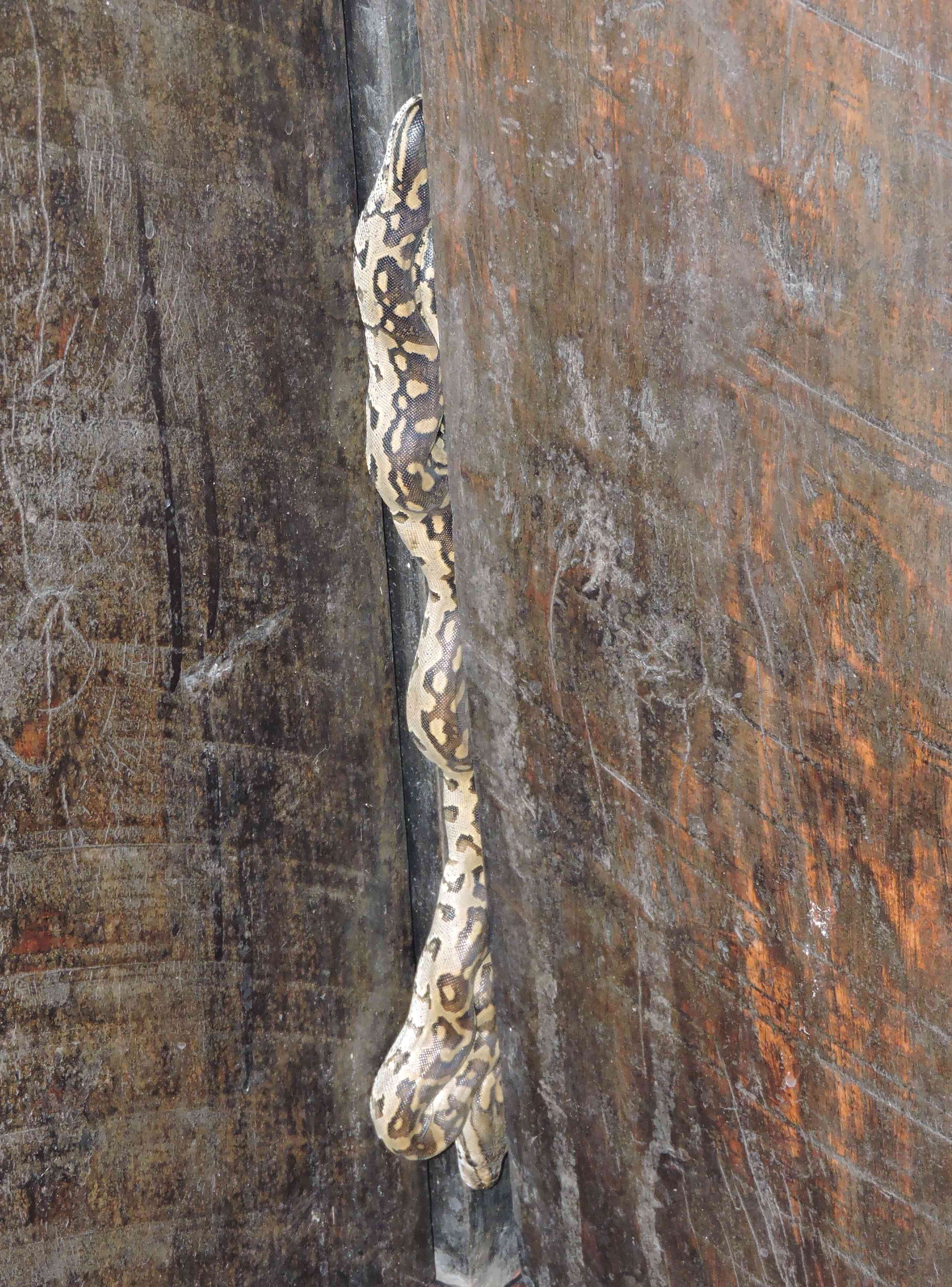 DSCN9989 9.28.32 PM copy