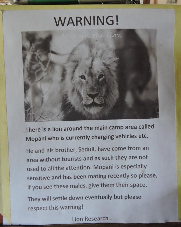 DSCN9991 9.04.30 PM copy