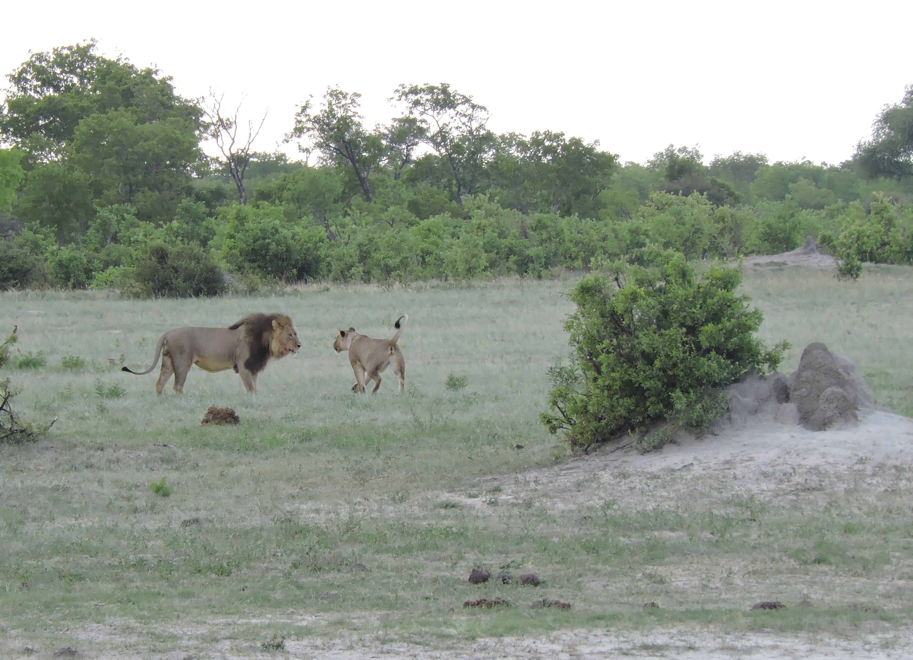 DSCN9996 9.04.30 PM copy.jpg