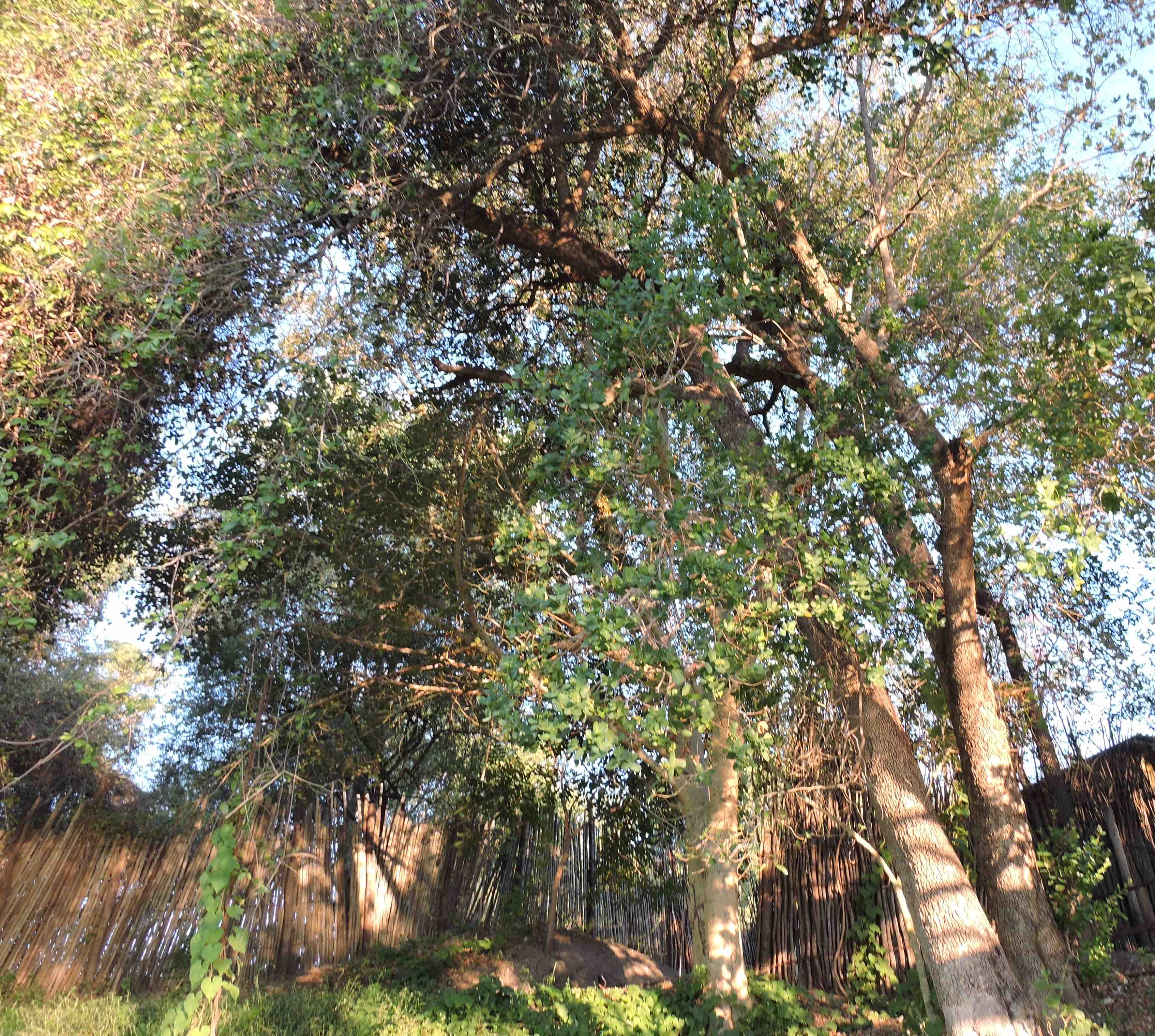 DSCN9995 8.33.22 PM 10.04.12 PM copy