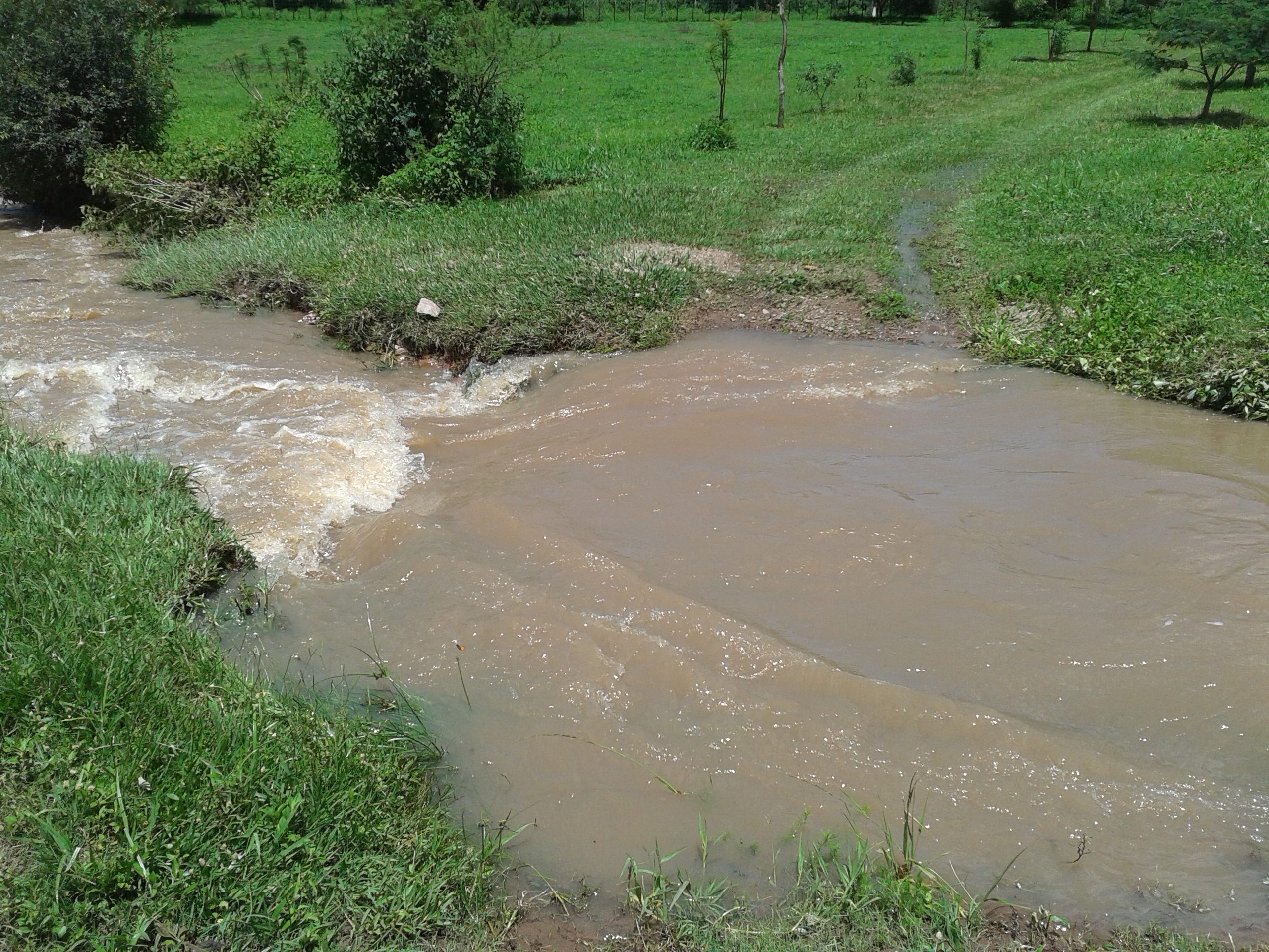 20160224_133413 copy