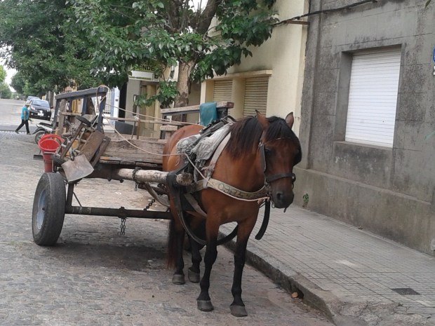 20160130_102009 copy