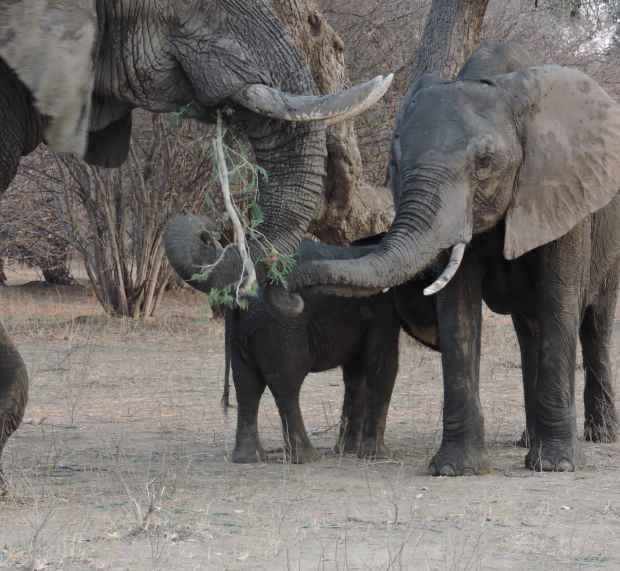 DSCN0022 8.49.54 PM copy