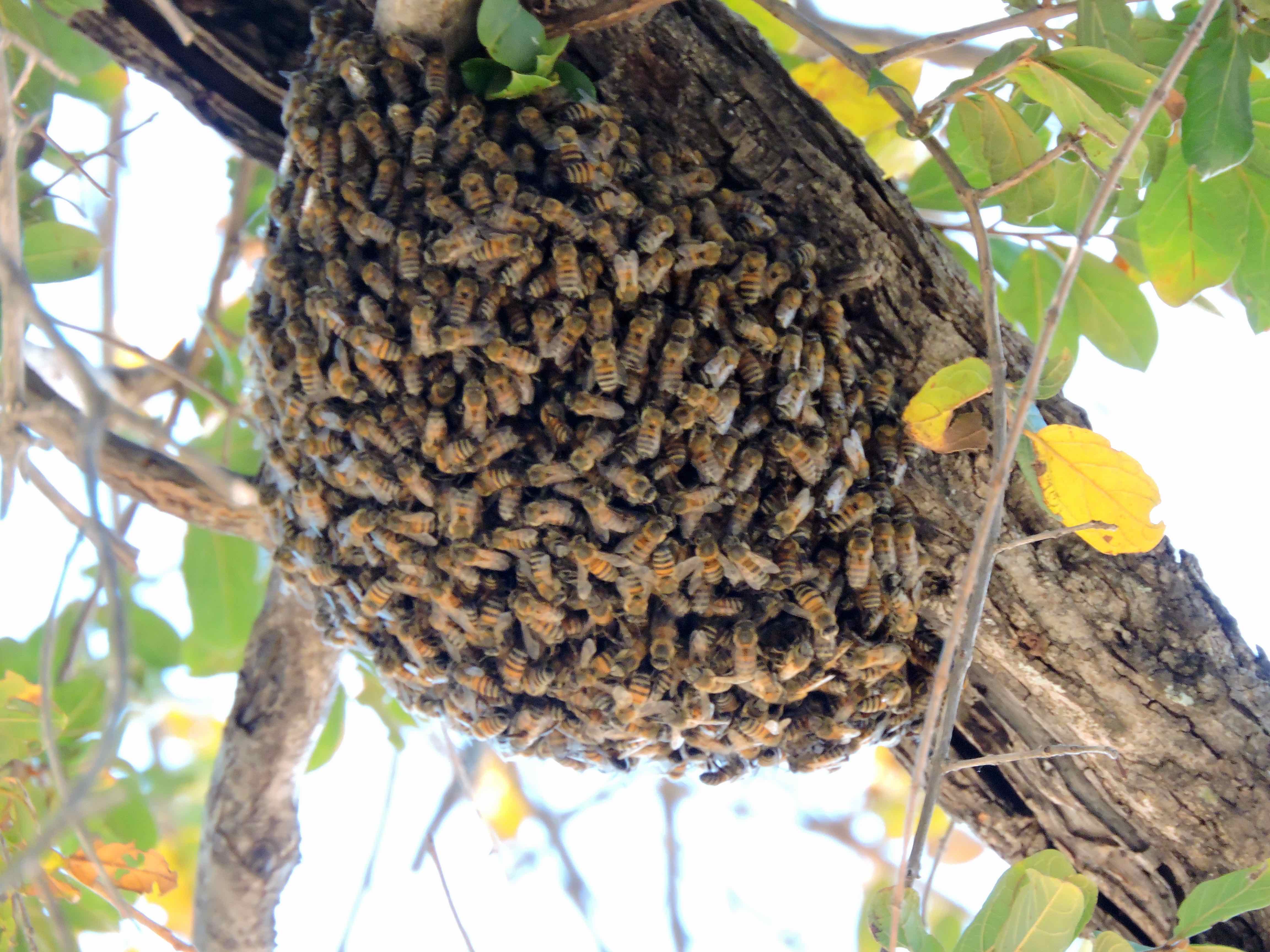 DSCN9935 10.35.21 PM copy