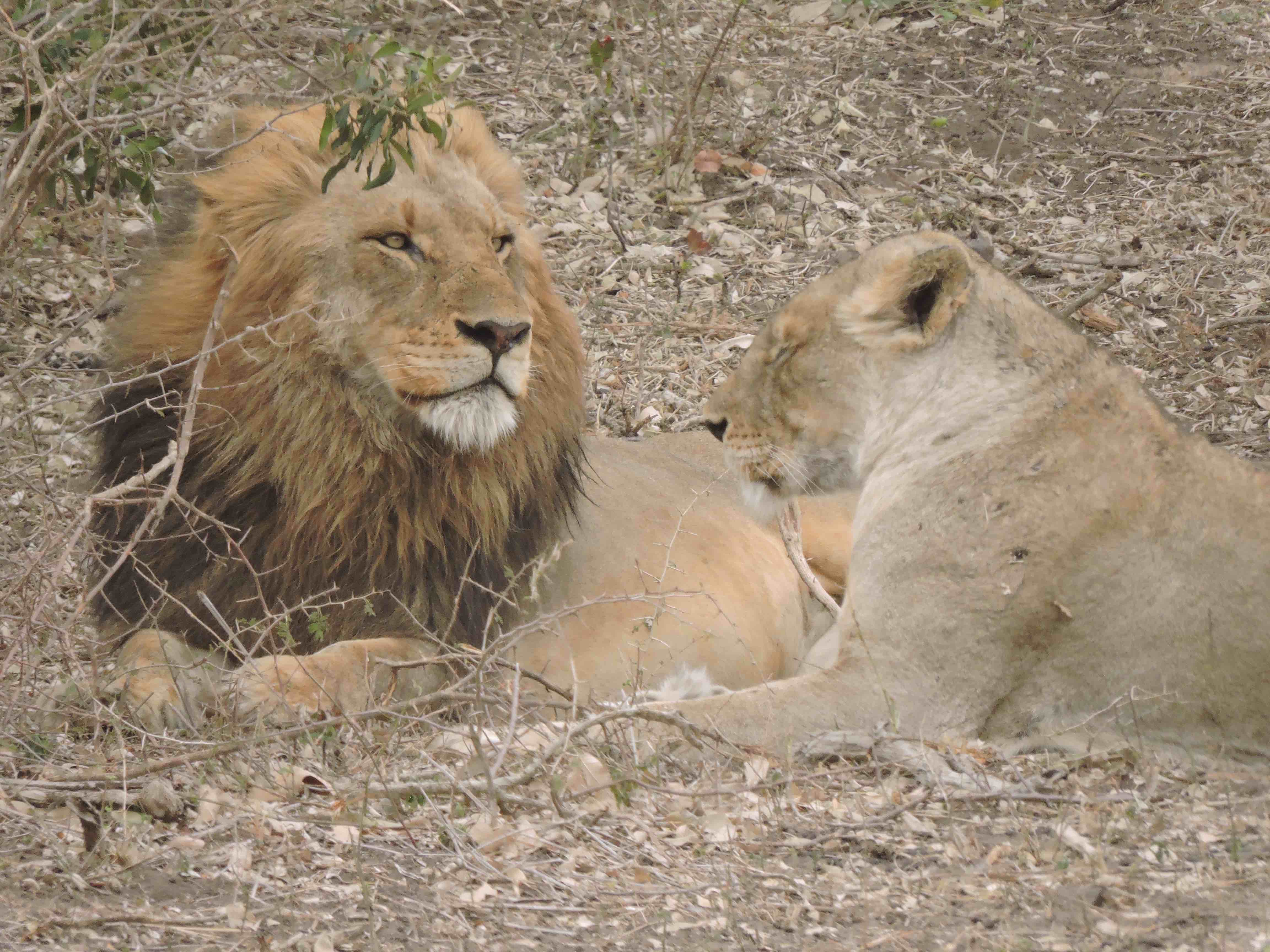 dscn9920-7-29-26-pm-copy