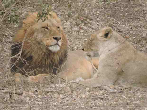 dscn9920-7-29-26-pm-copy