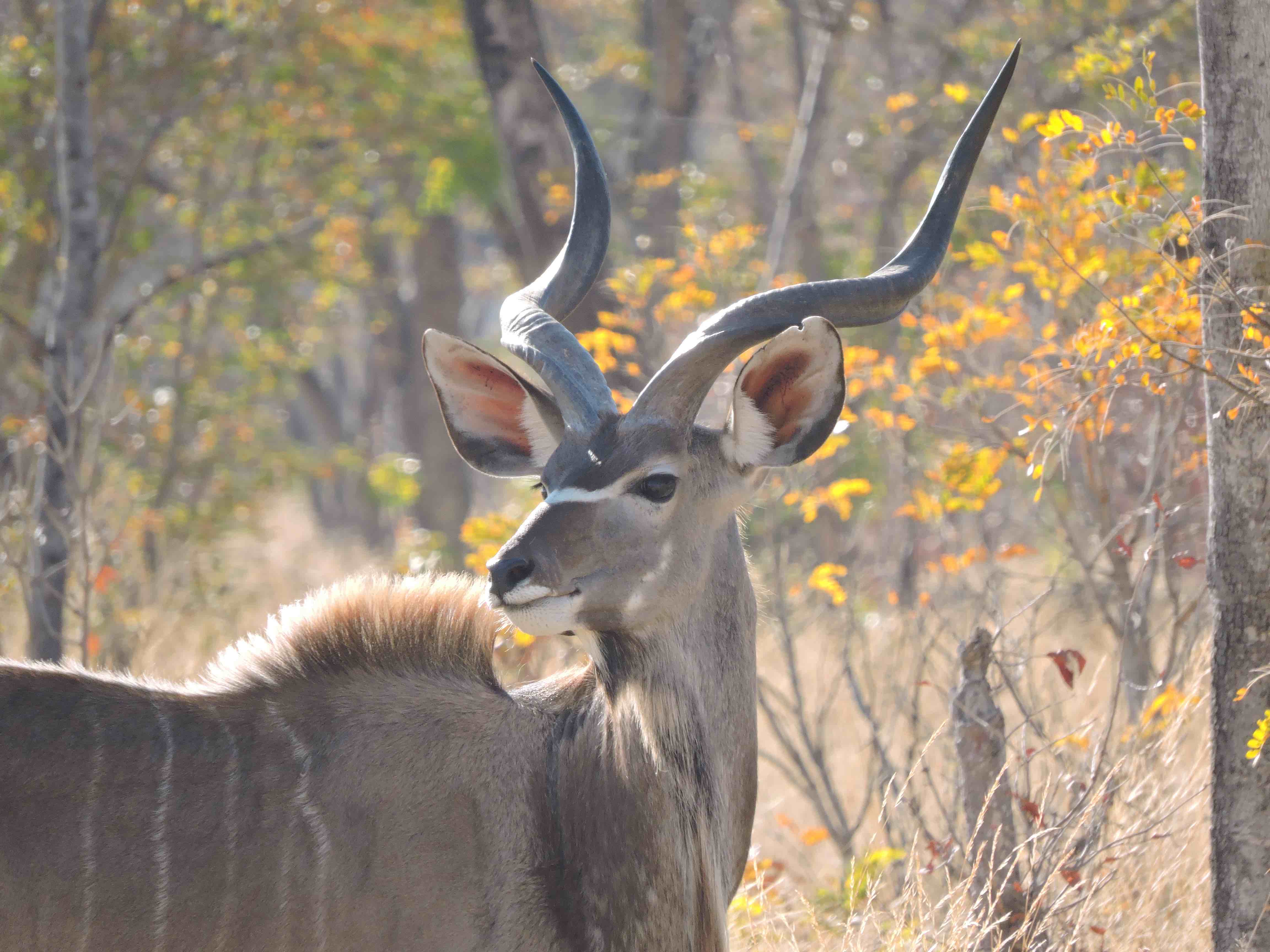 dscn9992-10-35-21-pm-copy