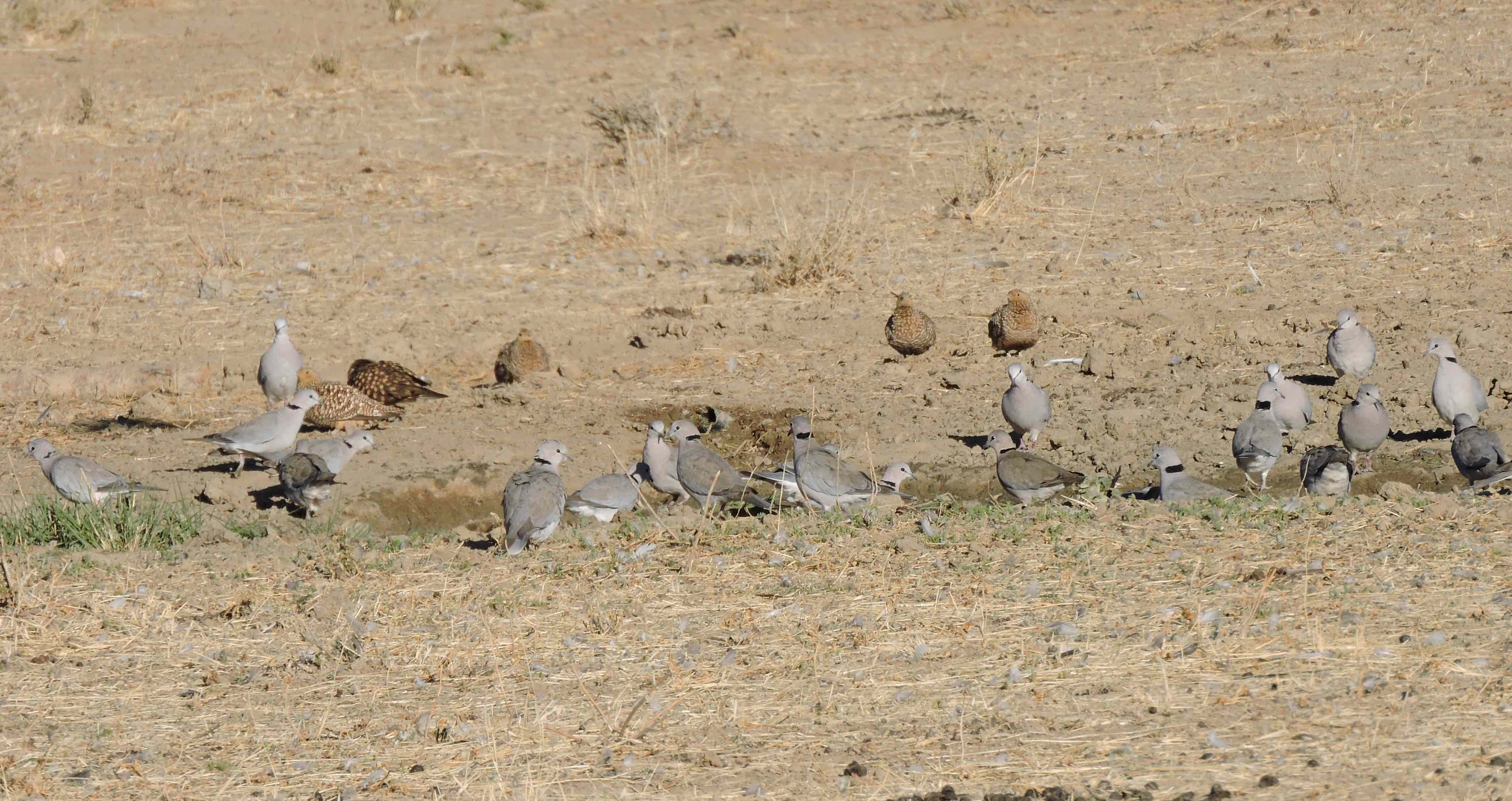 dscn0002-3-24-26-pm-copy