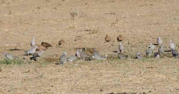 dscn0002-3-24-26-pm-copy