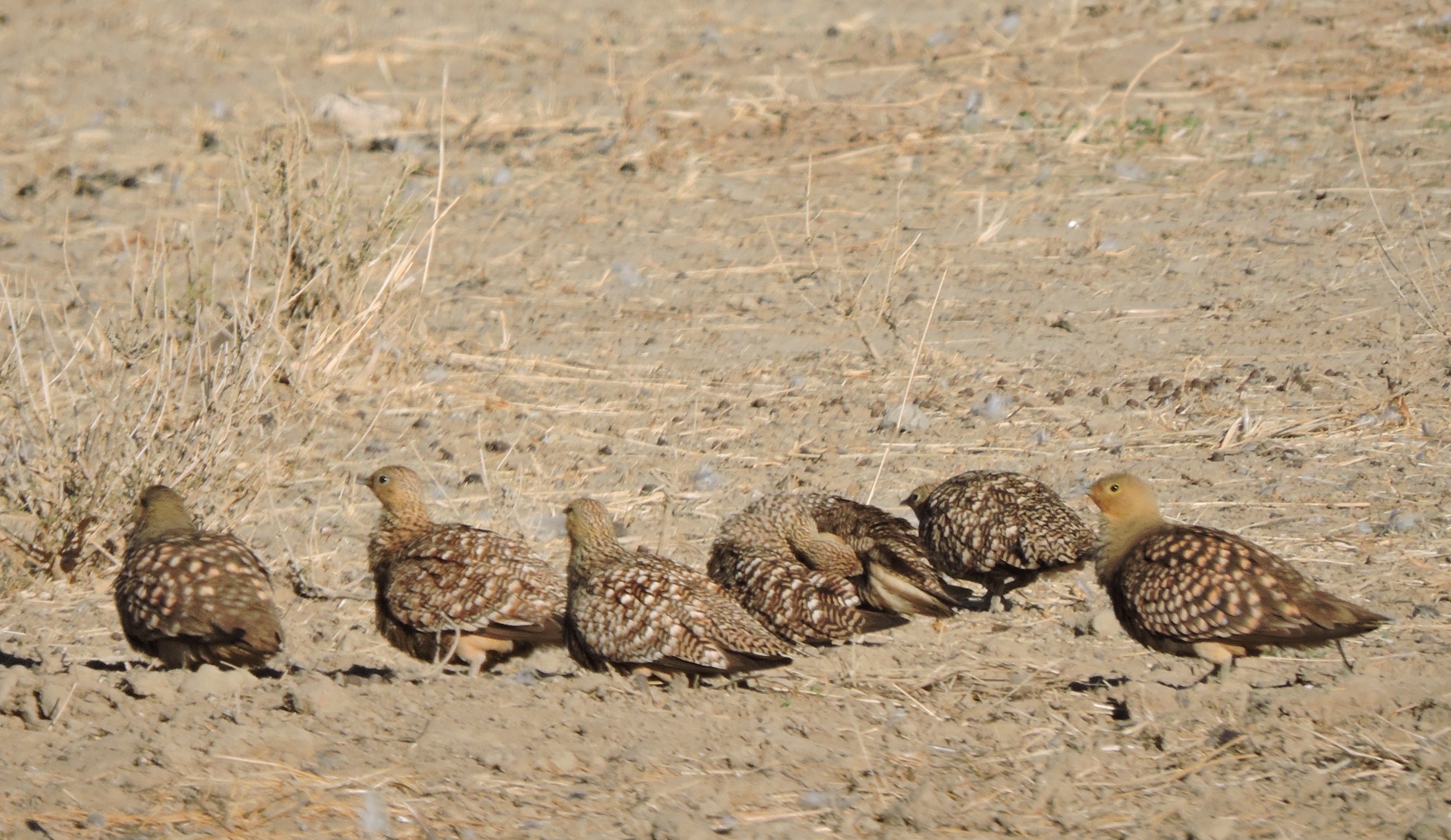 dscn0019-8-36-37-pm-copy