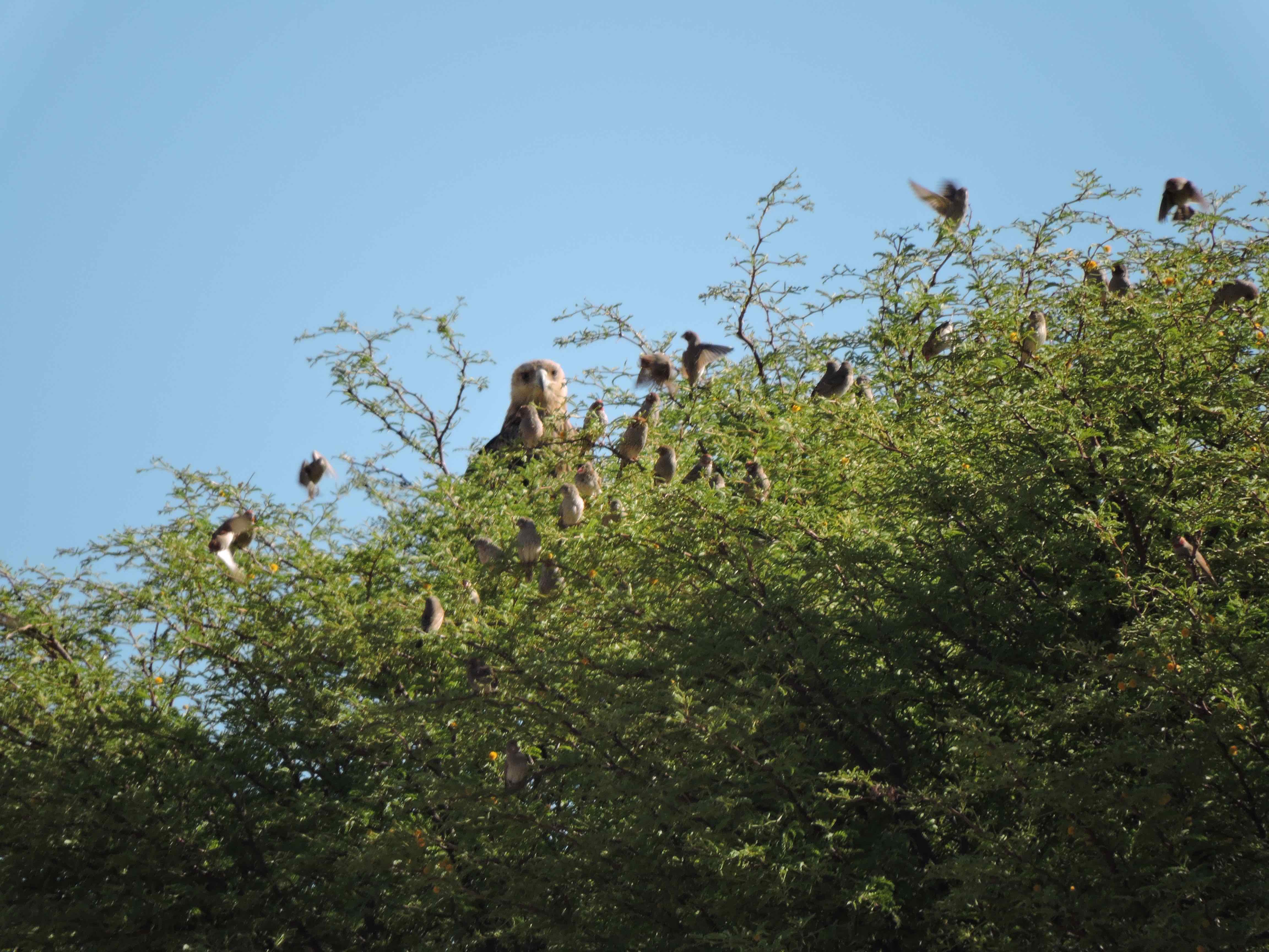 dscn9892-8-44-50-pm-copy