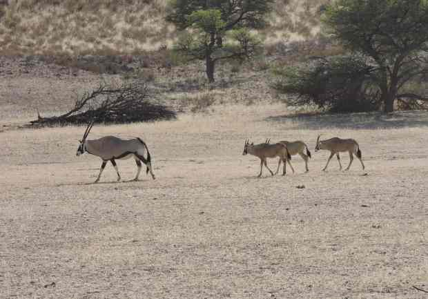 dscn9895-6-27-18-pm-copy