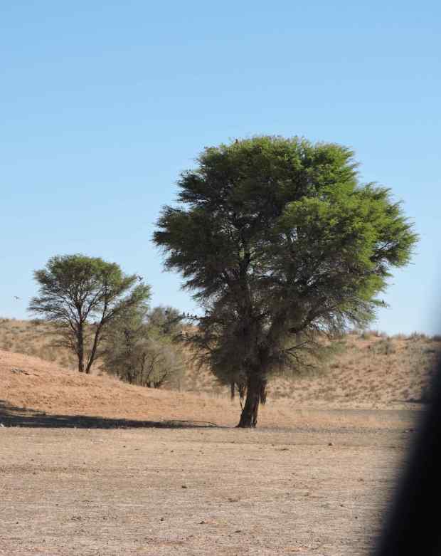 dscn9900-8-45-15-pm-copy