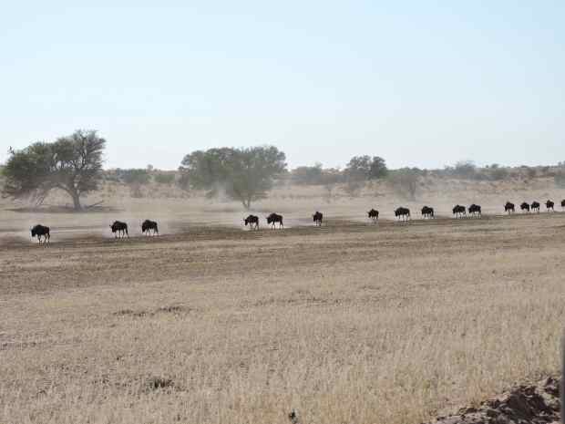 dscn9902-6-27-18-pm-copy