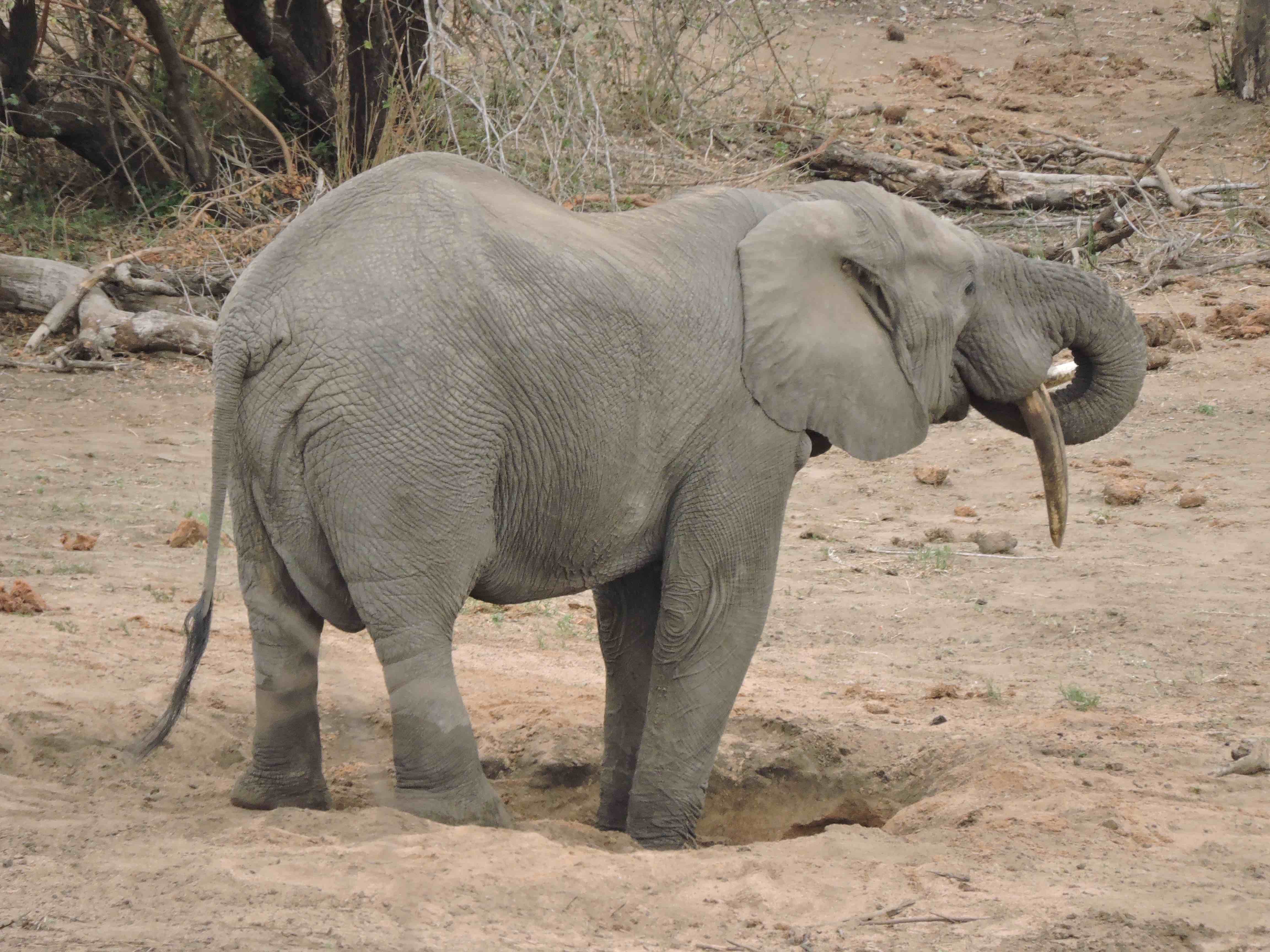 dscn9919-7-02-44-pm-7-01-05-am-copy-12-58-08-pm