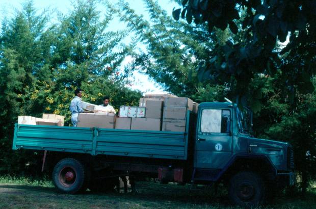 bedele-packing-fao-lorry