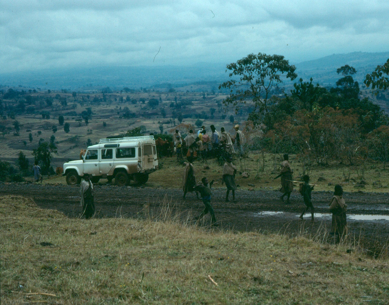 finchaa-tick-count-2-copy