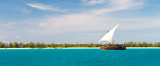 vamizi2012_1115cr-copy