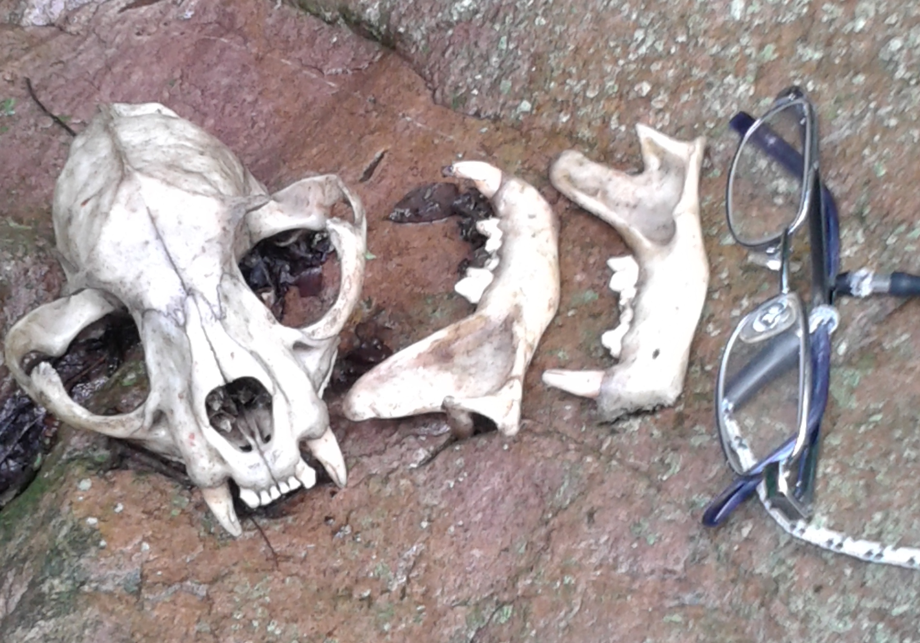 20150217_102012-copy