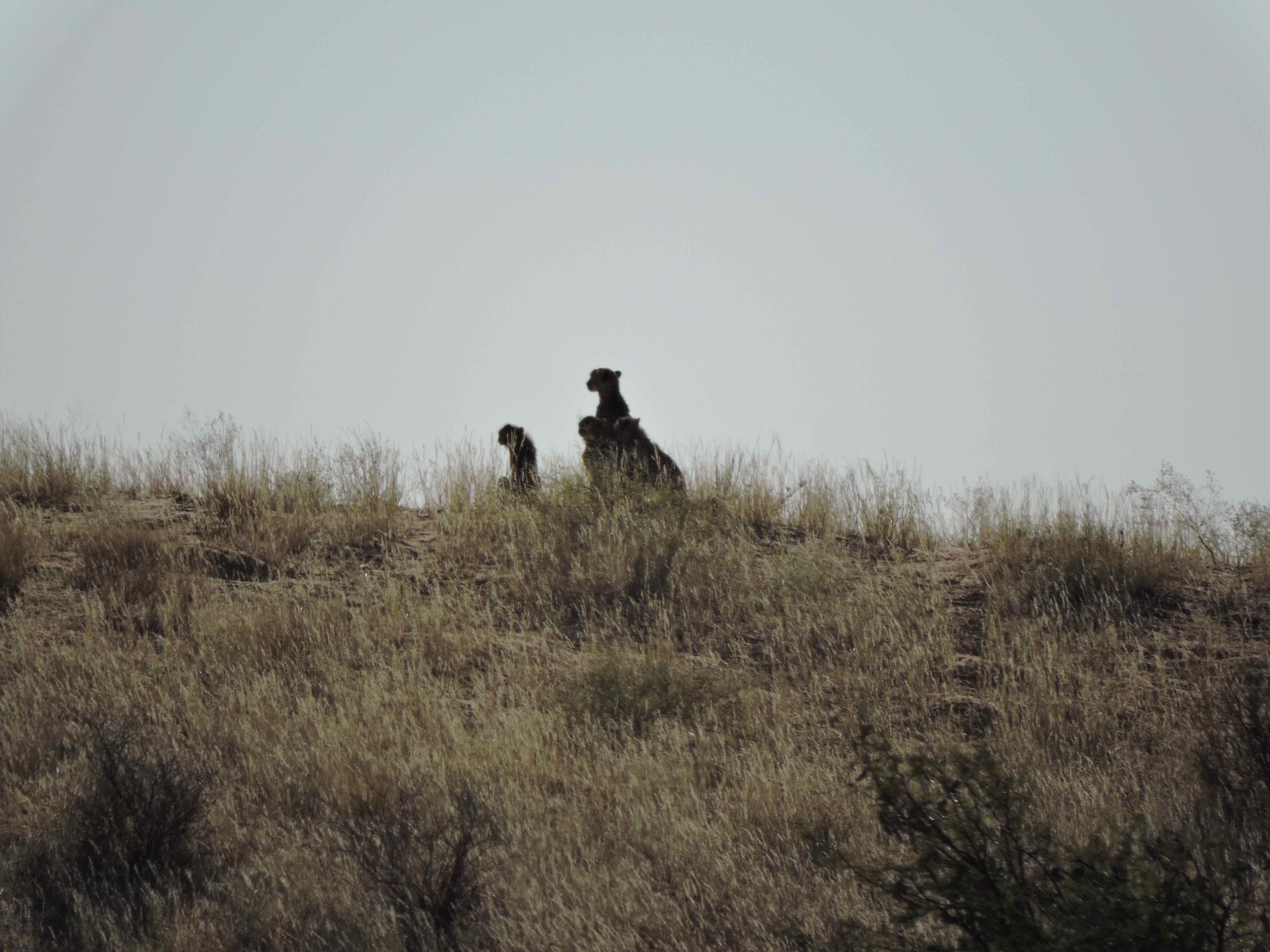 dscn9890-7-12-03-pm-copy