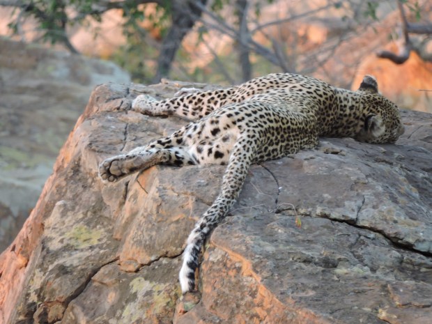 dscn9924-10-09-30-am-3-33-32-pm-3-38-33-pm