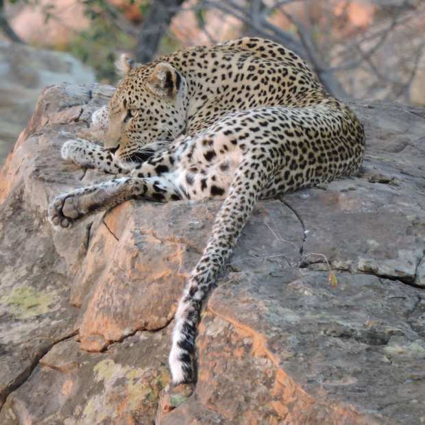 dscn9928-5-57-43-pm-9-25-00-am-copy