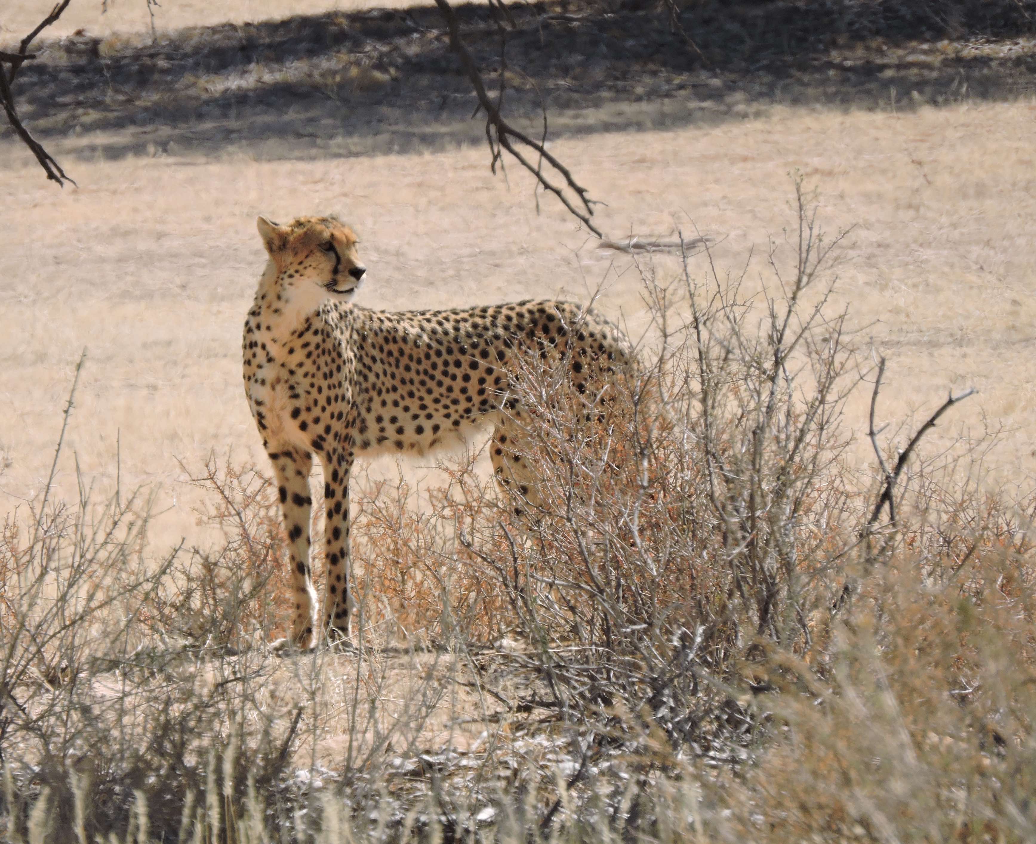 dscn9955-copy-12-25-52-pm