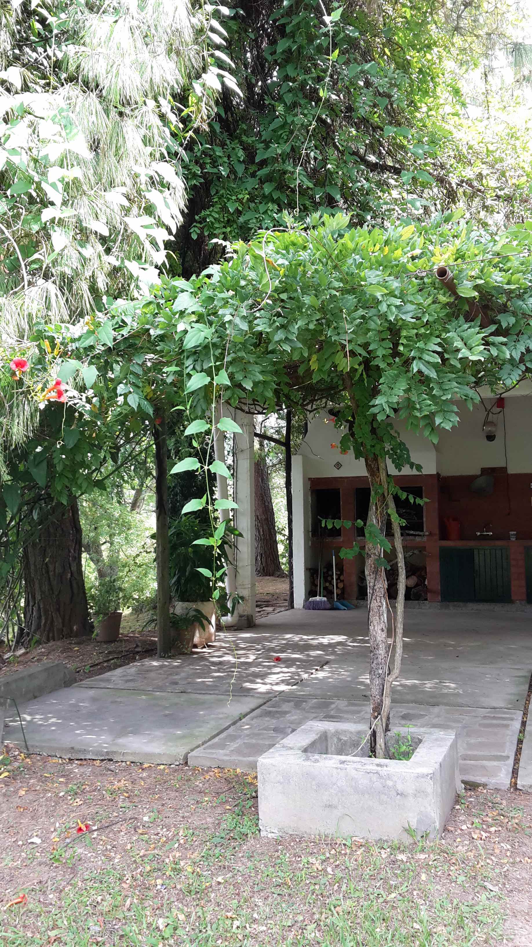 20170209_153430 copy.jpg