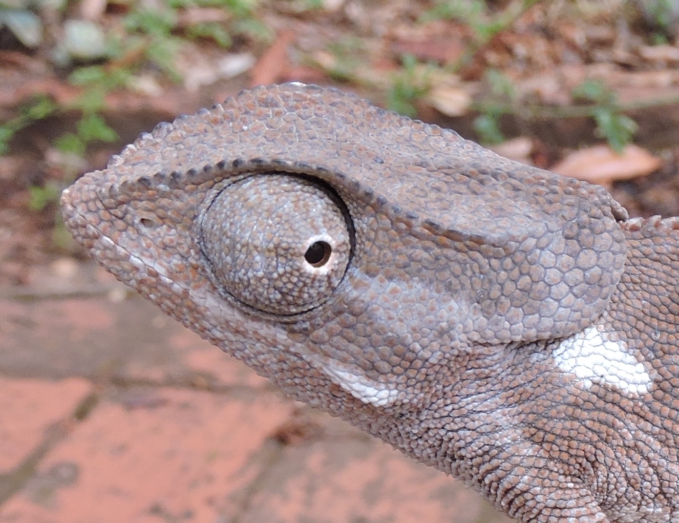 DSCN9945 12.10.31 PM copy