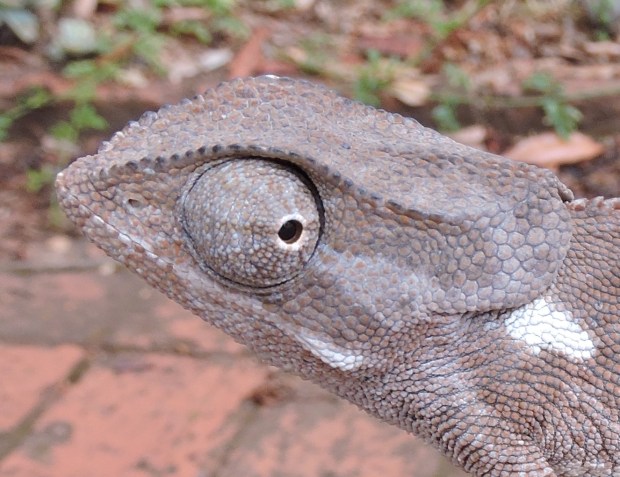 DSCN9945 12.10.31 PM copy