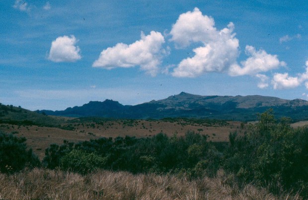 Aberdares 2 5.32.37 PM-001