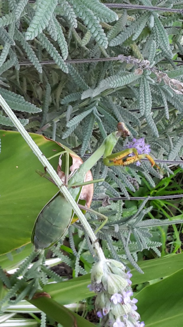 20170424_144905 copy