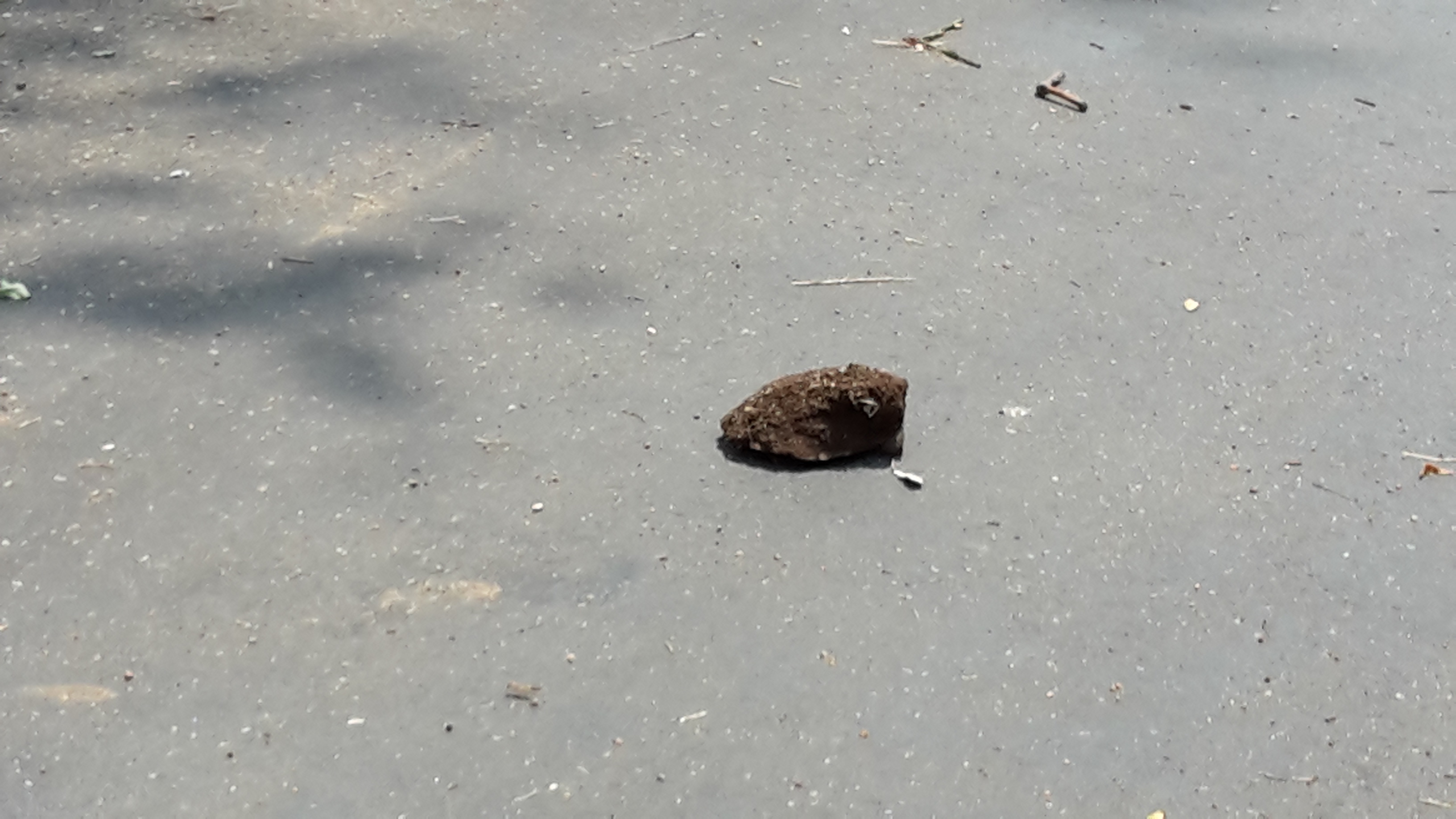 20171009_123421 2 copy